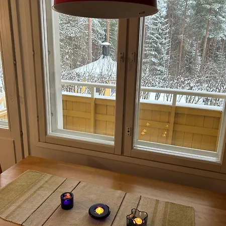 Viihtyisae Saunallinen Kaksio Laehellae Santa Claus Villagea Ja Napapiiriae Διαμέρισμα